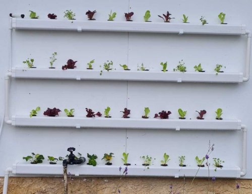 WhatsApp Image 2021-01-29 at 13.15.24 (1)