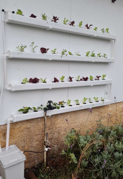 WhatsApp Image 2021-01-29 at 13.15.24 (2)